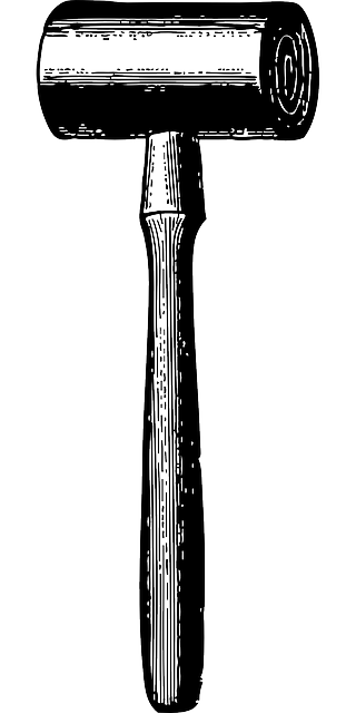 Auction