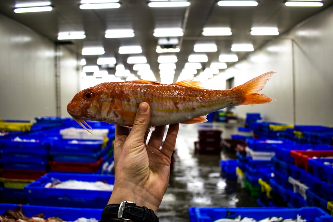 Maximizing Charity Auctions with Professional Auctioneers in Gloucestershire