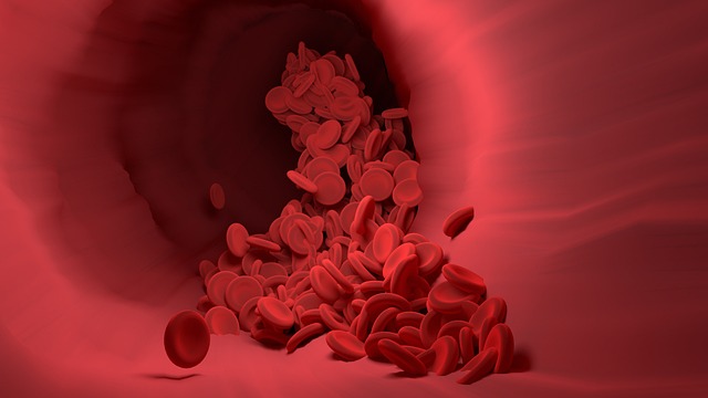 blood test