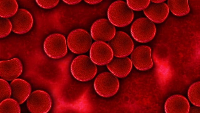 blood-test-640x480-80116734.jpeg