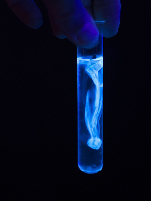 Online Kidney Function Testing: The Well Person Blood Test in the UK