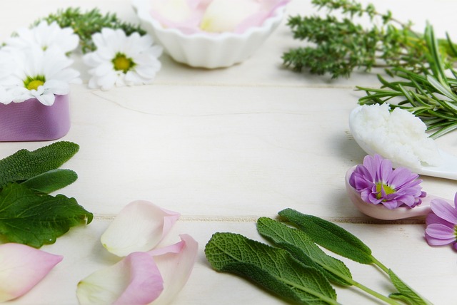 Tea Tree Oil for London Skin Tag Removal: A Natural Solution
