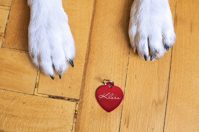 Unveiling the Advantages and Procedures of Sheffield Tag Removal for Enhanced Appearance and Health