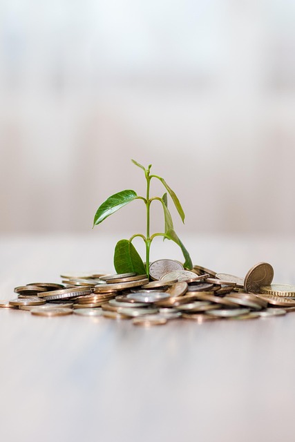Navigating Joint Debt Consolidation Loans: Strategies for Couples with Diverse Income Levels