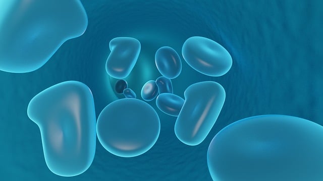 UK Advanced Liver Blood Tests: A Comprehensive At-Home Wellness Guide