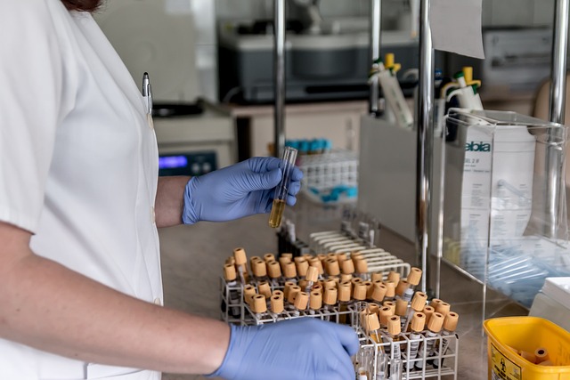 Home Blood Testing for Wellness: Unlocking Your Health with UK Iron Tests