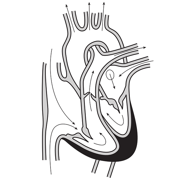 npressfetimg-1322.png