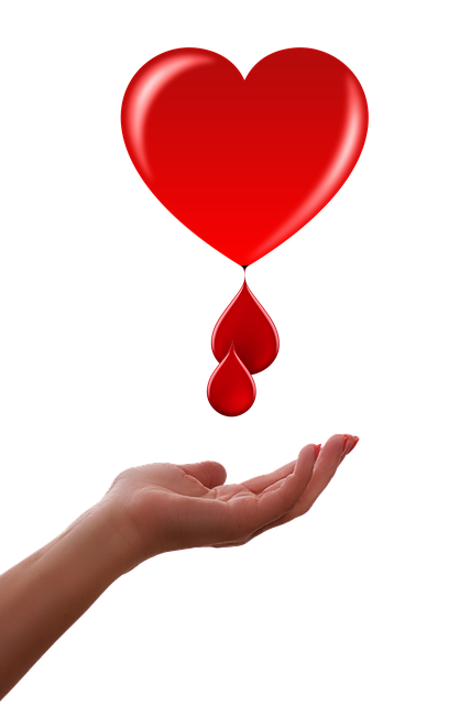 Home Health Checks: Understanding UK Standard Liver Blood Test and Its Benefits