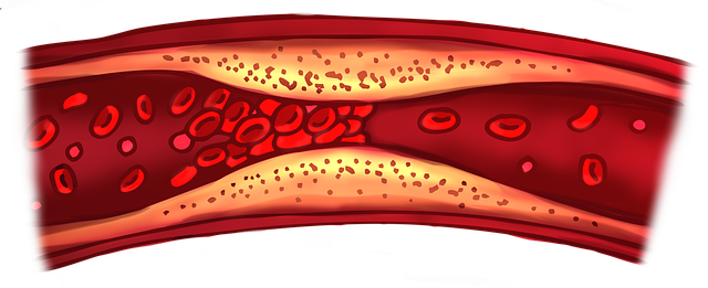 UK Advanced Liver Blood Test: A Comprehensive Guide for Professionals
