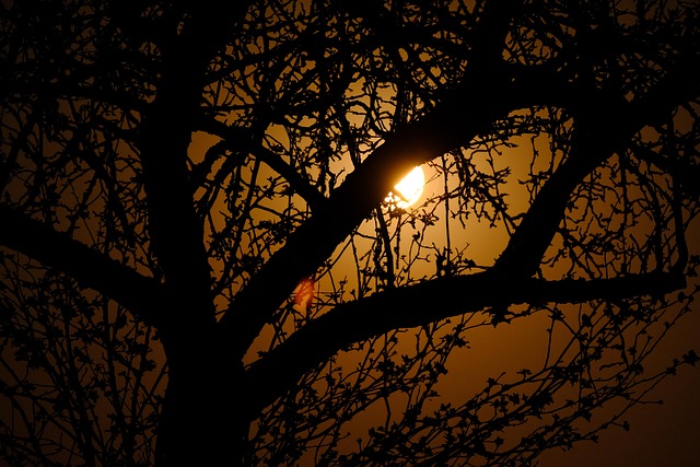UK Vitamin D Blood Test: Essential Checks for Optimal Health at Home