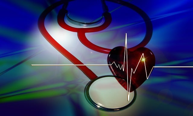 Monitor Cholesterol with Easy UK Vitamin B12 Blood Tests