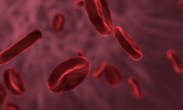 UK Vitamin D Blood Test: Crucial Marker for Liver Health Assessment