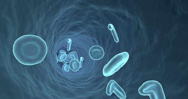 Unveiling Thyroid Health: UK’s Advanced Blood Test Kit