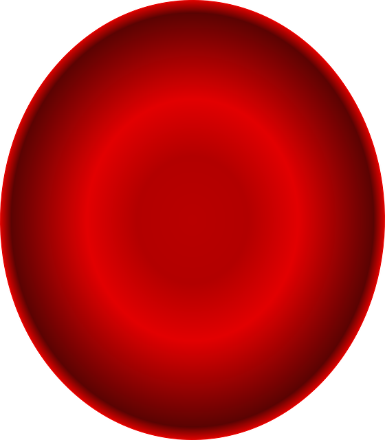 UK Kidney Blood Test Services: Monitoring and Diagnosis Online