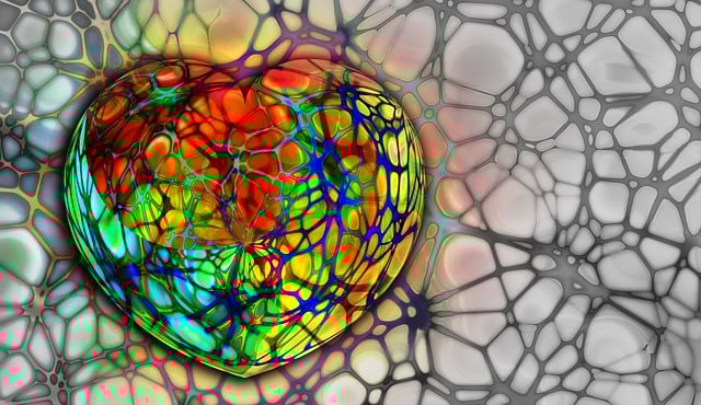 Online Kidney Function Testing for UK Patients: A Comprehensive Guide