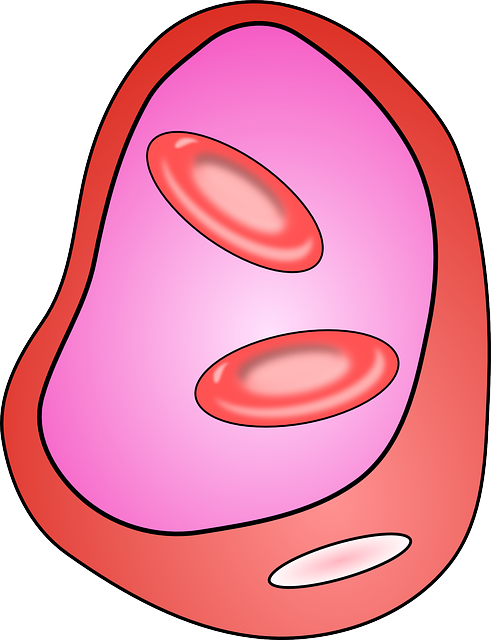UK Cholesterol Blood Tests: Benefits, Preparation & Interpretation