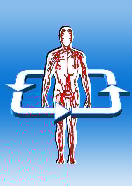 Testosterone Level Testing: Advanced Liver Blood Exam for Men’s Health Diagnosis (UK)