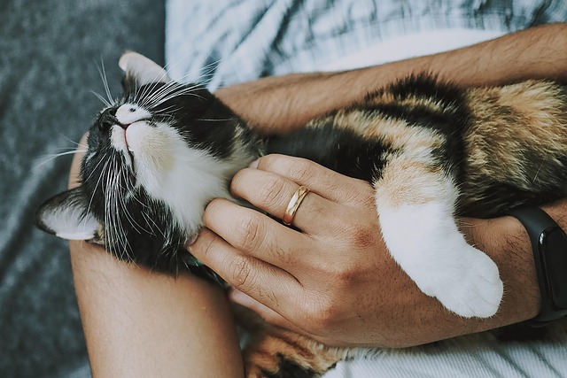 Vintage-Inspired Jewelry: Nostalgia Meets Modern Style, Bristol Gold Revived