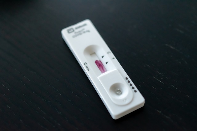 Unraveling Liver Function Tests: Essential Cholesterol Blood Check UK