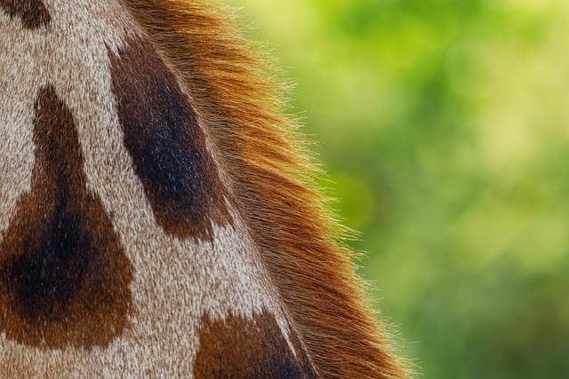 Unraveling Skin Tags: Causes and Bristol Removal Options