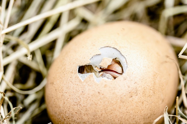 Preventing Skin Tags: Bristol Guide to Healthy Skin