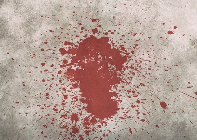 Iron Blood Test UK: Understanding Liver Function for Medical Pros