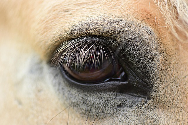 Preventing Skin Tags: London’s Guide to Tag Removal & Care