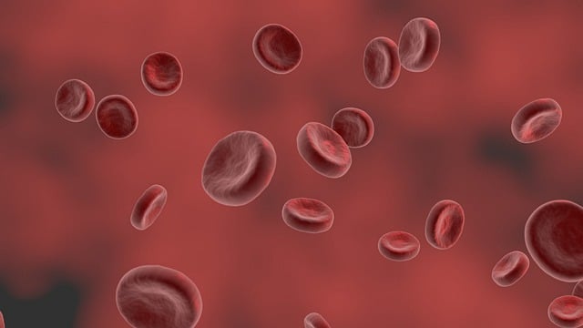 Vitamin D Blood Test UK: Unlocking Male Reproductive Health Insights