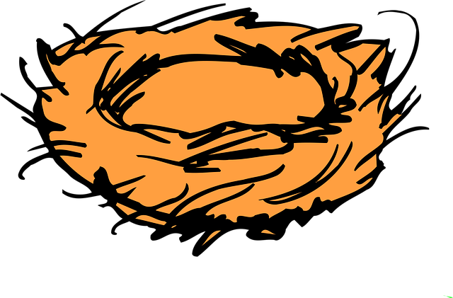 npressfetimg-2282.png
