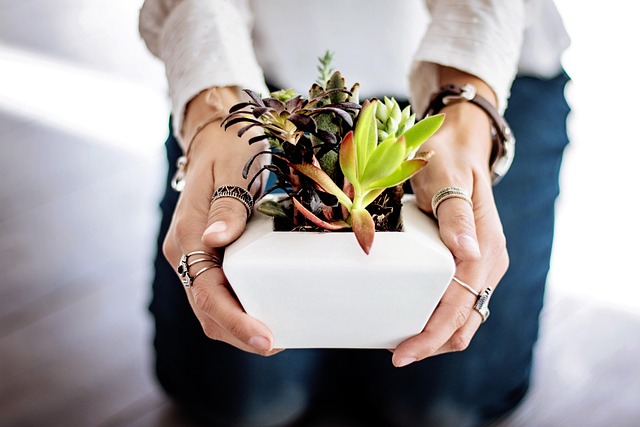 Durable Bradford Costume Jewellery: Elevate Your Everyday Dining Experience