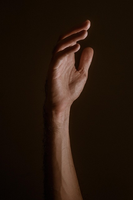 npressfetimg-1422.png