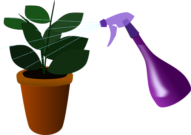 npressfetimg-778.png