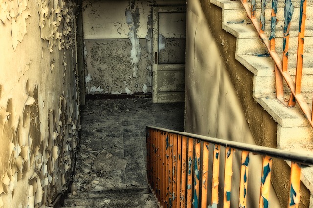 basement clearance experts