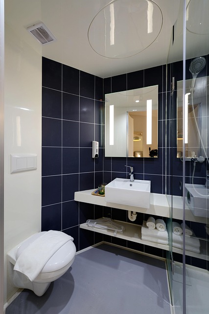 bathroom plumber expert