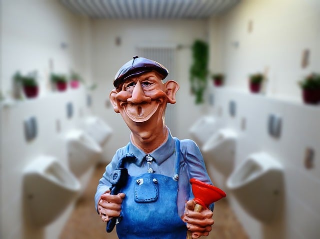 bathroom plumber expert
