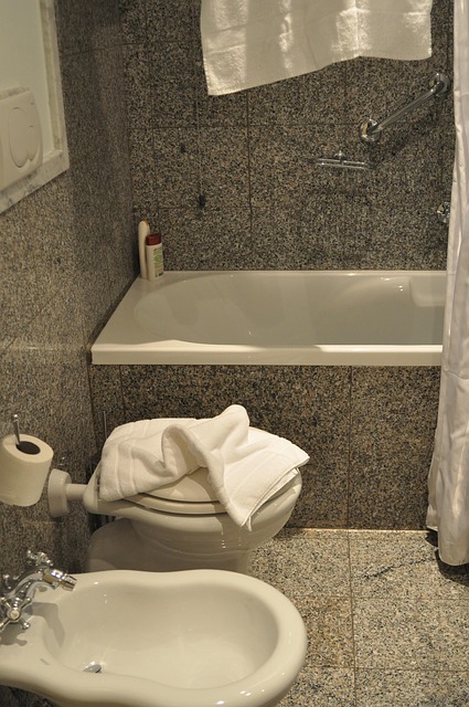 bathroom plumber expert