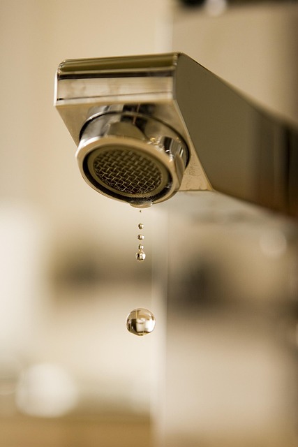bathroom plumber expert
