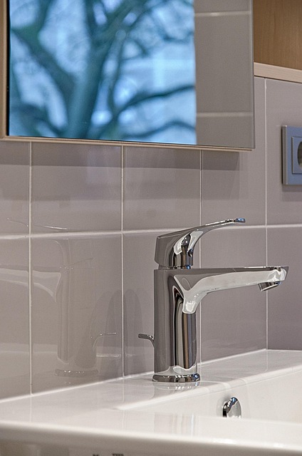 bathroom plumber expert