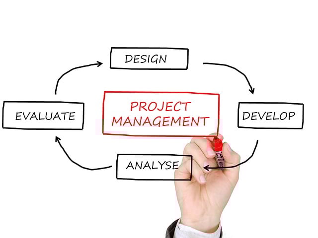 debt management consolidation loans