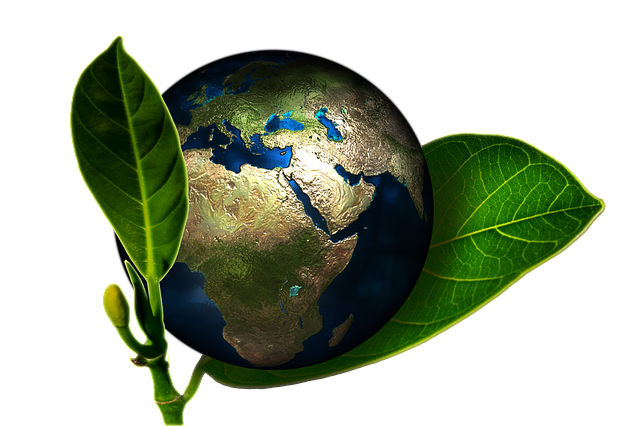 eco friendly house clearance service