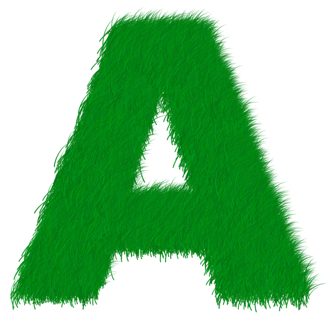 eco friendly house clearance service
