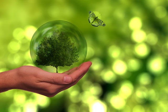 eco friendly house clearance service
