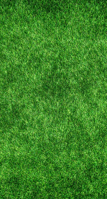 eco friendly house clearance service