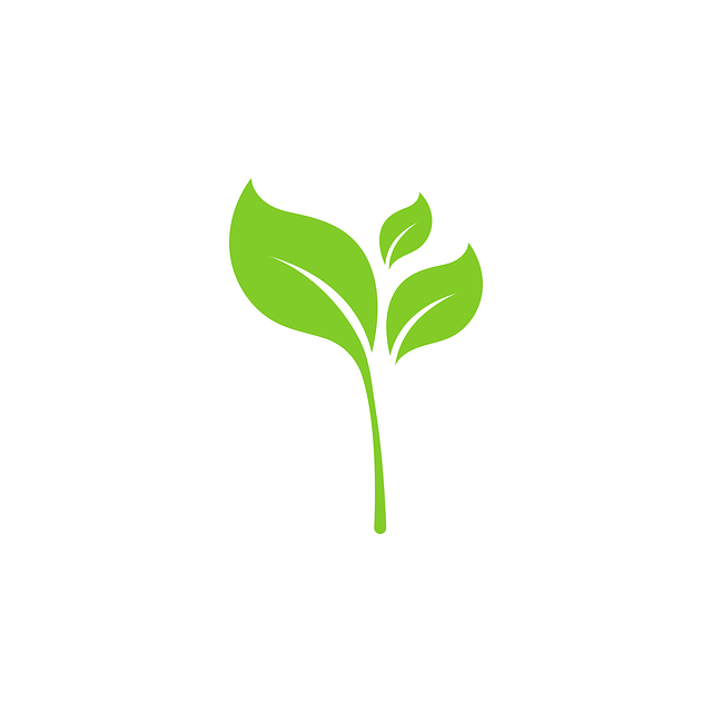 eco friendly house clearance service