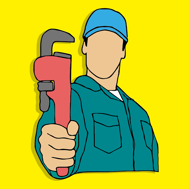 emergency plumber services