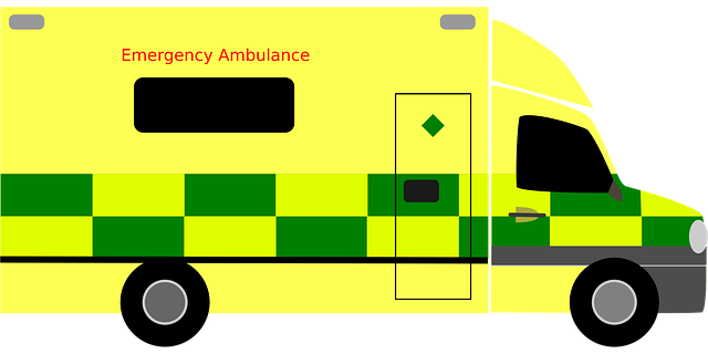 emergency plumber services