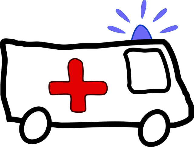 emergency plumber services