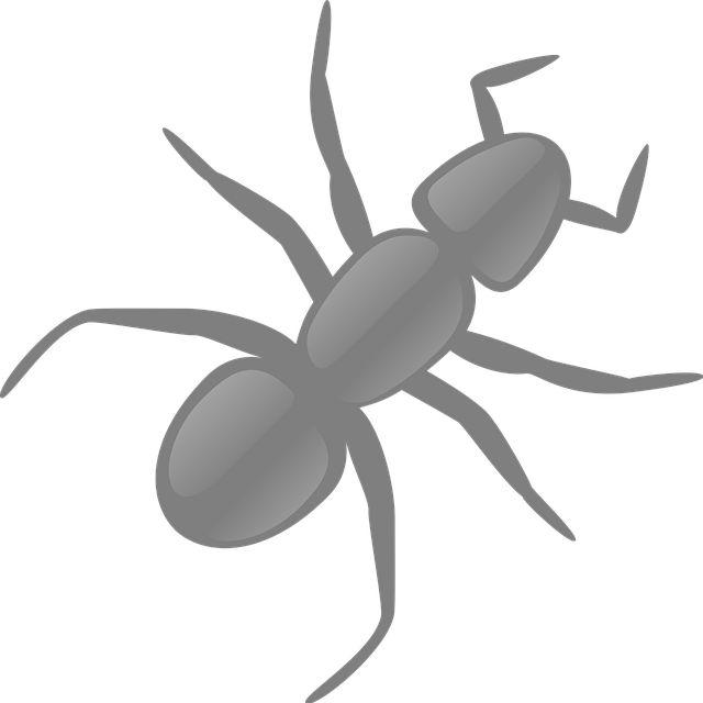 experienced wart removal surgeon