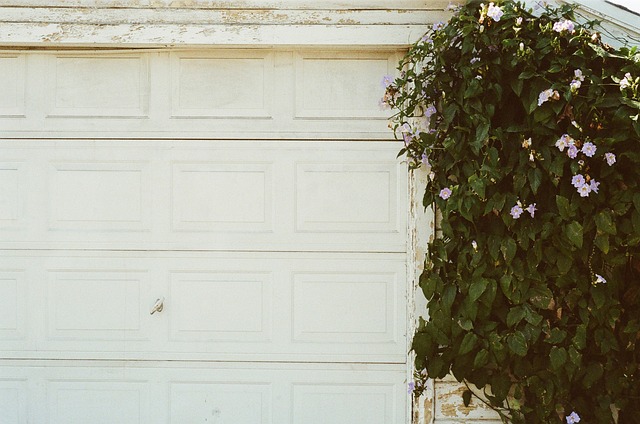garage clearance service