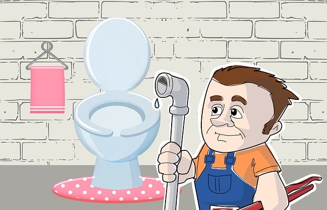 kitchen plumber specialist